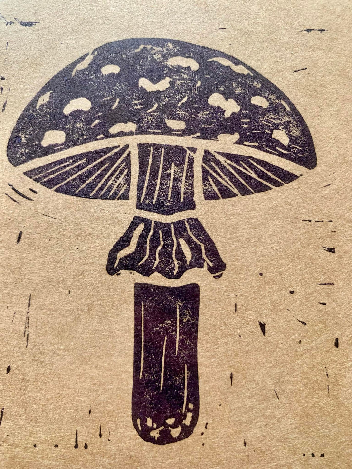 Mushroom - Brown/Burgundy