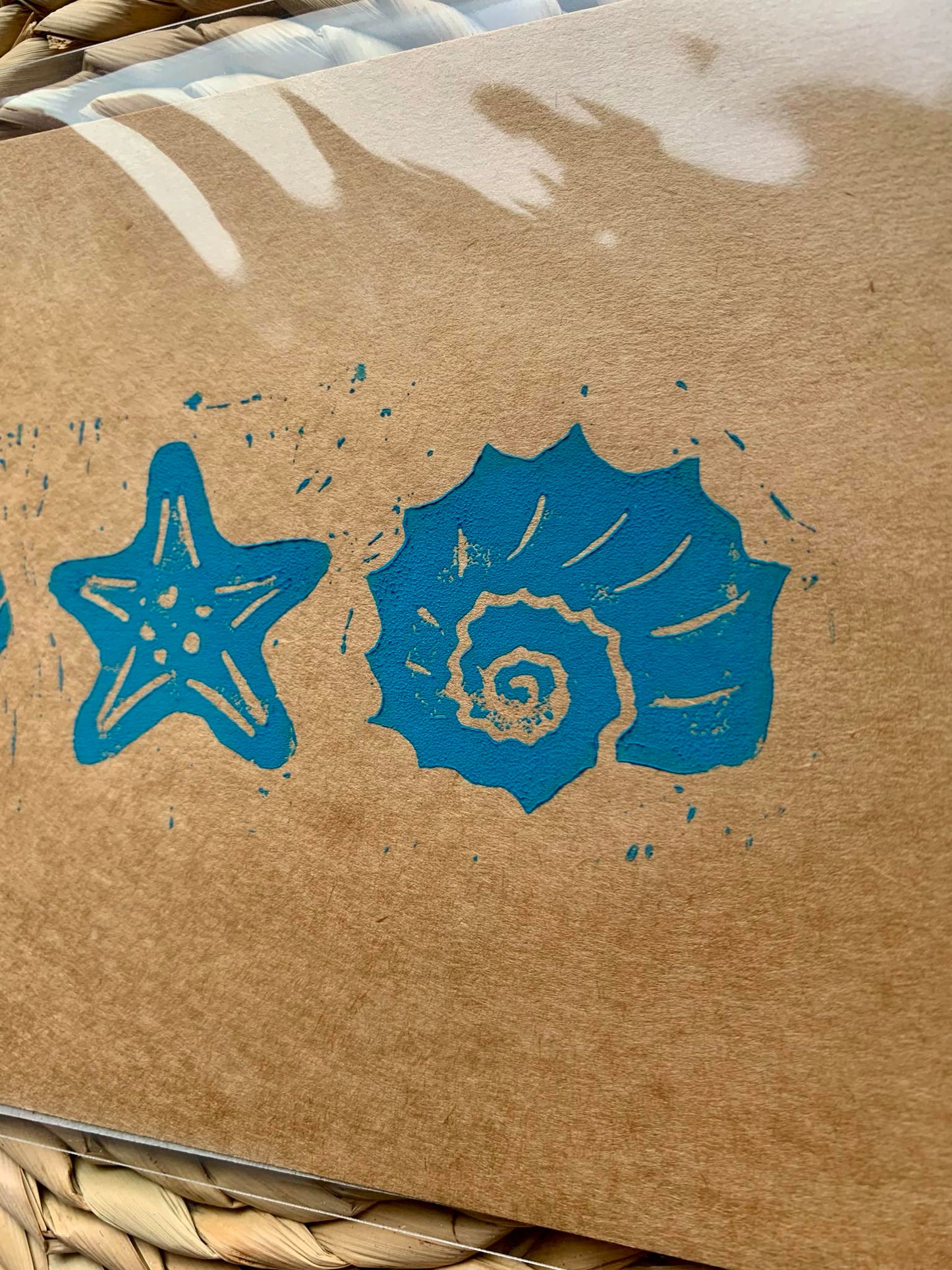 Seashells - Brown/Teal