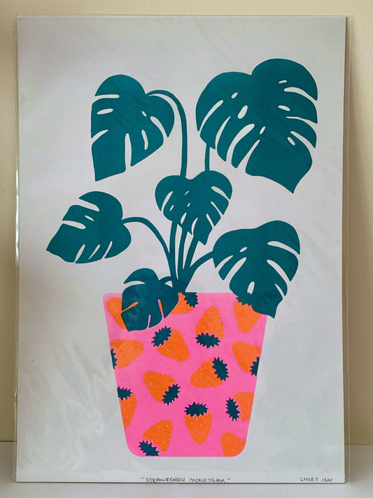 Strawberry Monstera