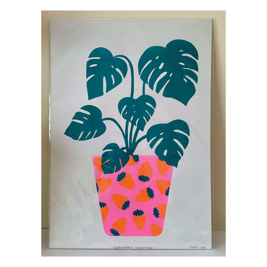 Strawberry Monstera