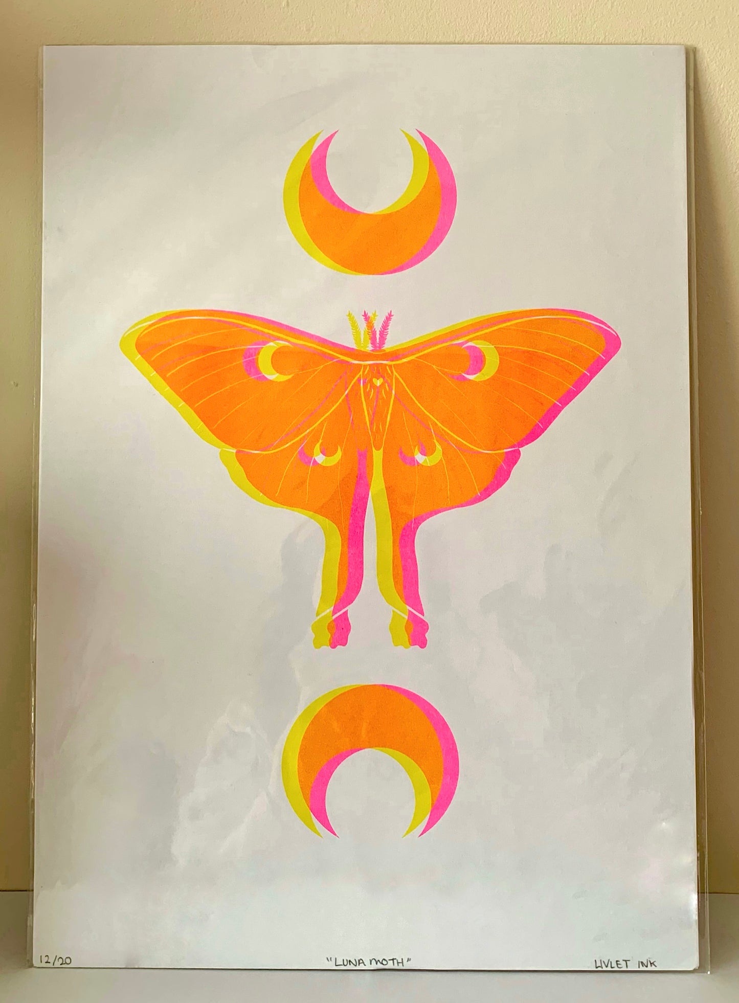 Luna Moth - Yellow & Pink