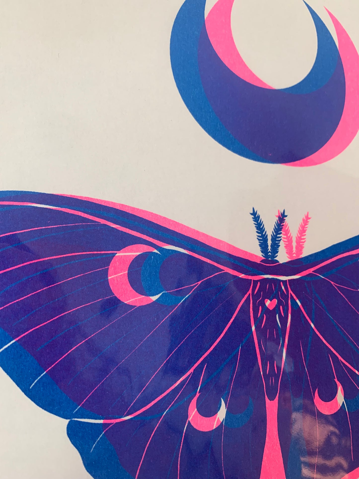 Luna Moth - Blue & Pink