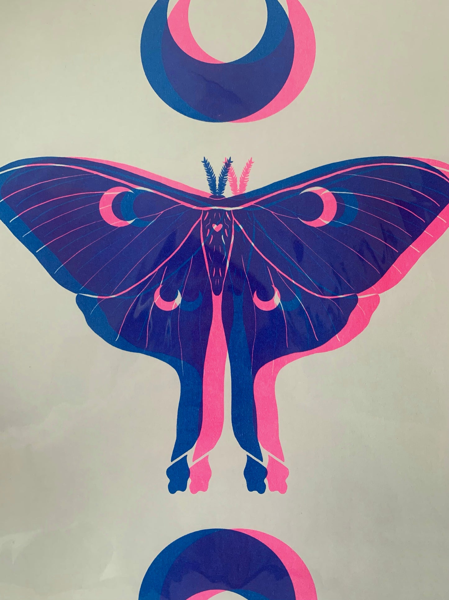 Luna Moth - Blue & Pink