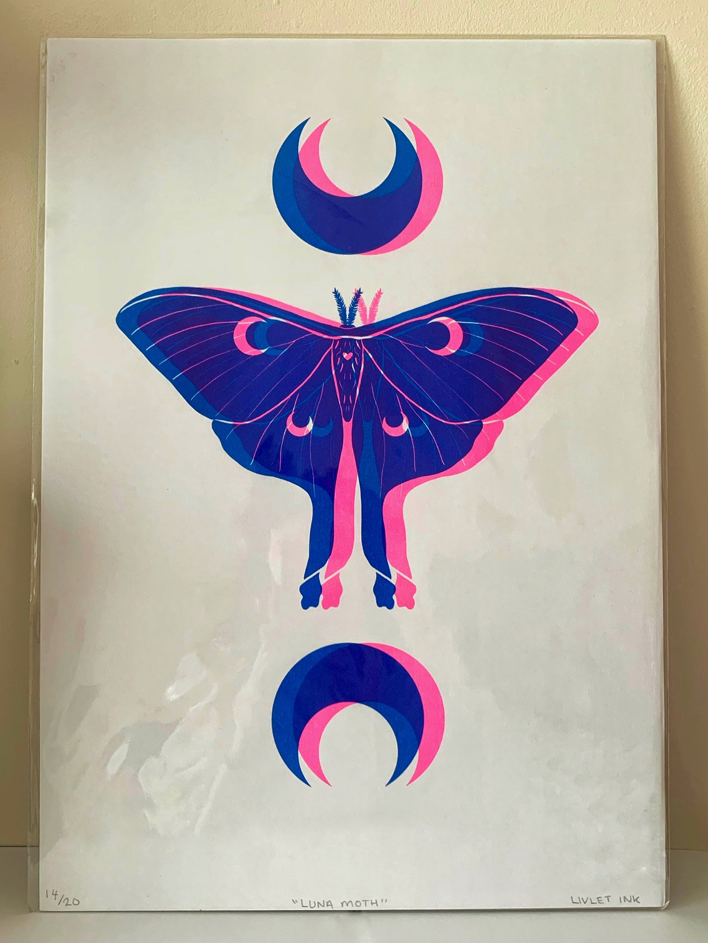 Luna Moth - Blue & Pink