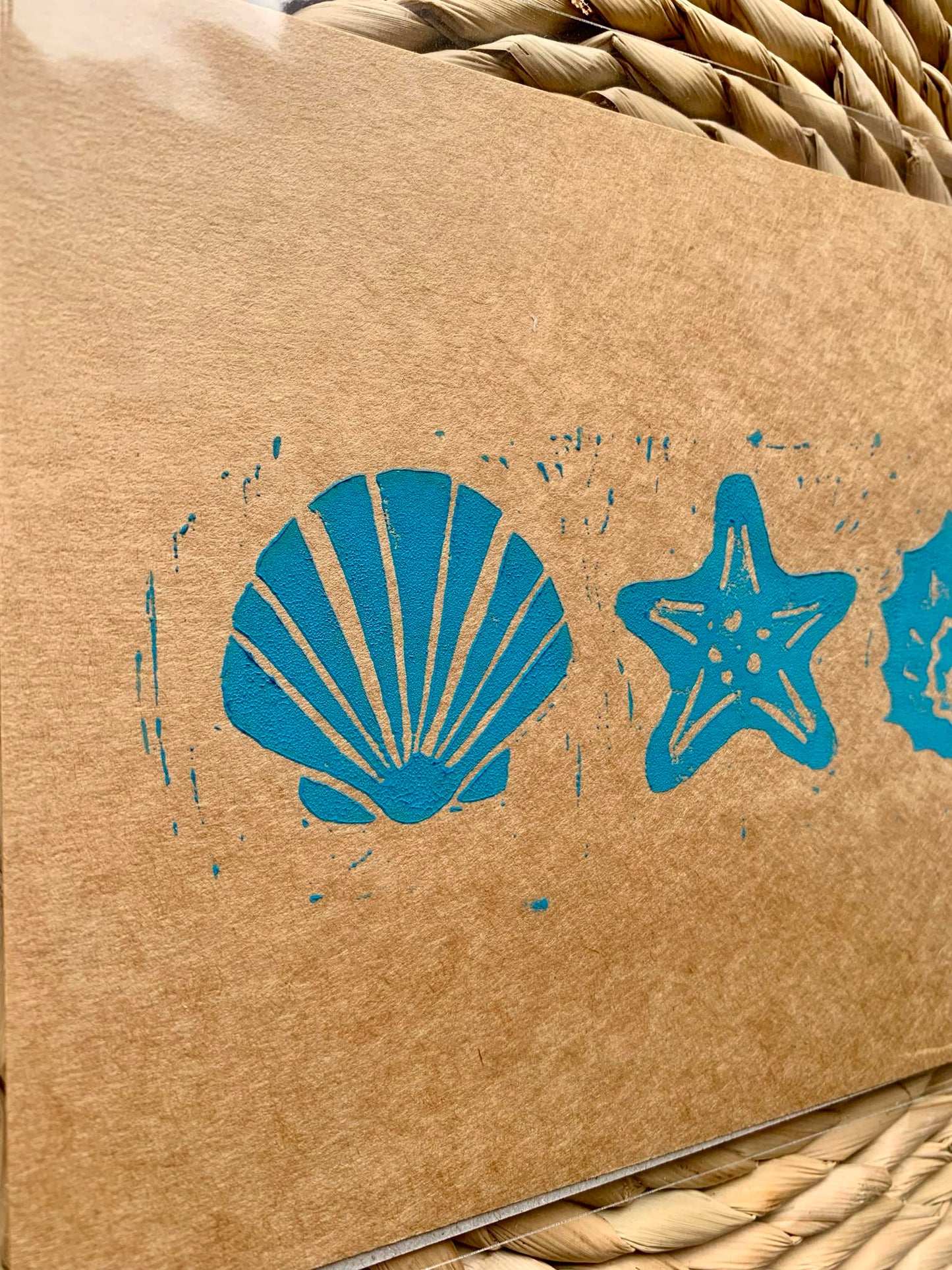 Seashells - Brown/Teal