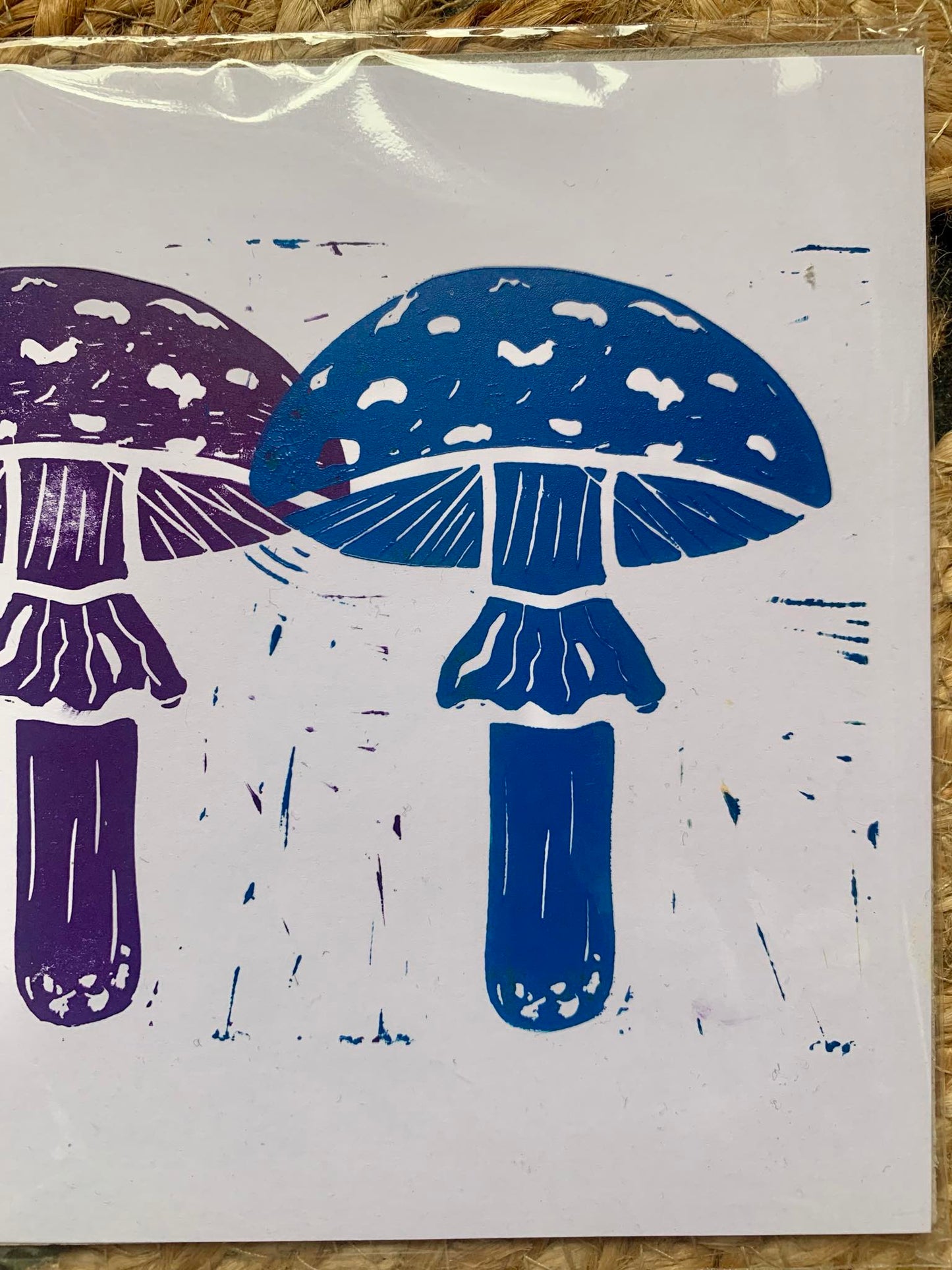 Bi Fungi
