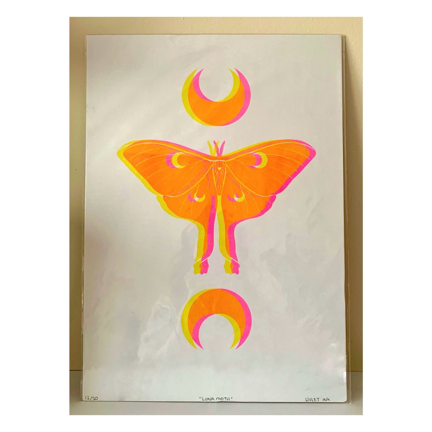 Luna Moth - Yellow & Pink