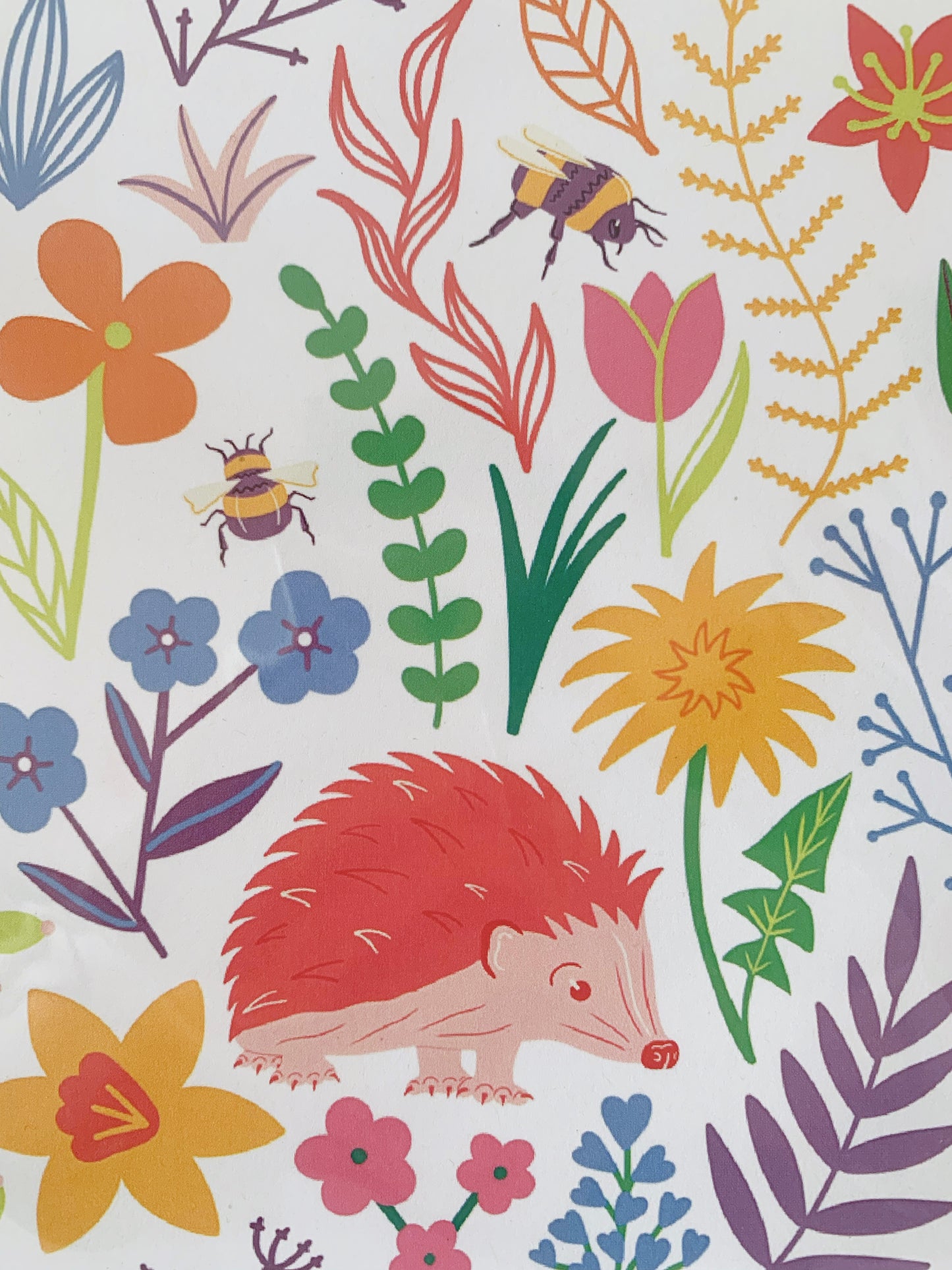 Sustainable Symphony