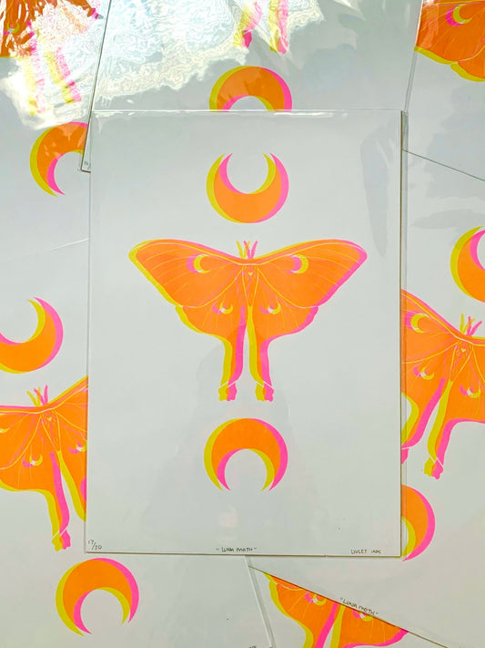 Luna Moth - Yellow & Pink