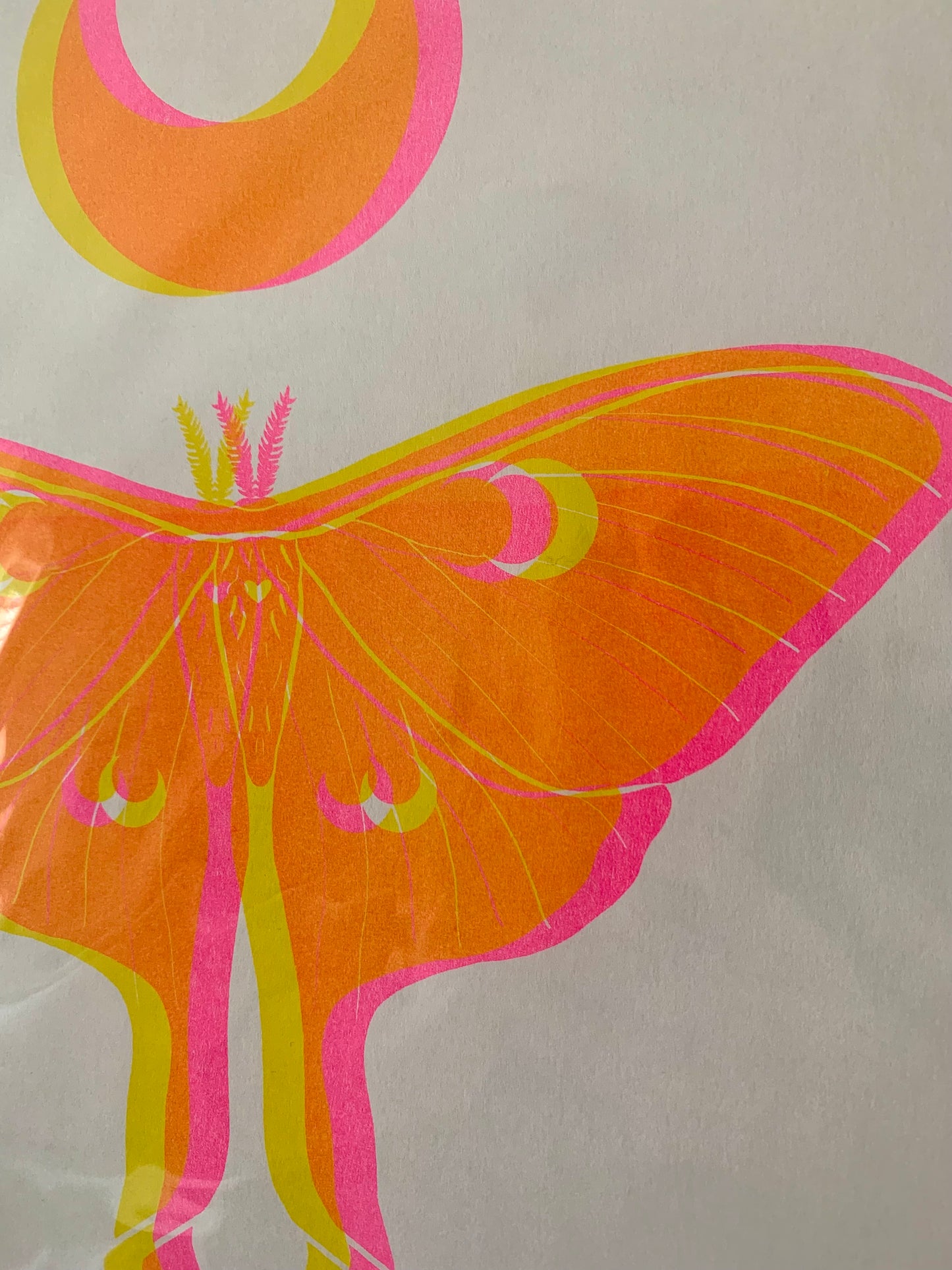 Luna Moth - Yellow & Pink